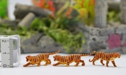 HO1:87 Animal Model Pigeon, Seagull, Wild Boar,Zebra, Seal,Tiger Lion Peacock Sea Lion Dolphin Wolf Pack Camel Animal Decor