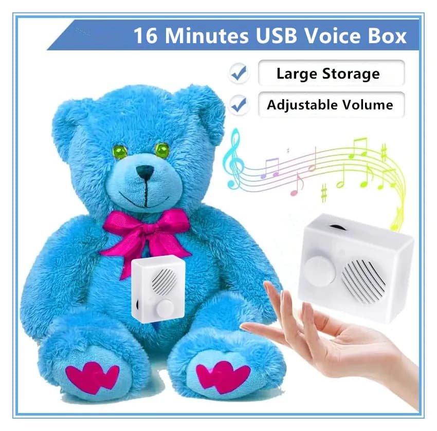 16 Min DIY Voice Box, USB Voice Recording Button for Stuffed Animals, Bear, Plush, Baby Doll, Pillow. Record Custom Messages