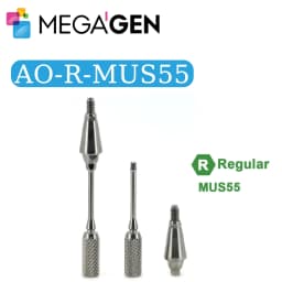 MegaGen AnyOne AO & AnyRidge AR Healing Abutment AO Straight Ti-Base Composite Abutment Dental Implant Prosthetic Components