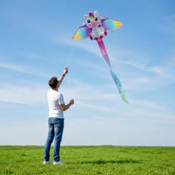 Yongjian Pink Unicorn Kite, a small kite ideal for beginners, easy to fly, comes with a 50-meter kite line
