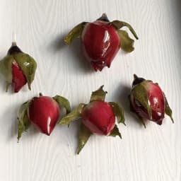 2 PCs Handmade Resin Jewelry Real Flower Charms Petaline Pendants Real Rose Petal Charm For DIY Earring Jewelry Finding Making