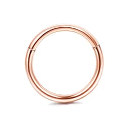 Drperfect 16G Septum Ring Jewelry Earrings Stainless Steel Hoop Nose Rings for Women Helix Tragus Lip Cartilage Septum Piercing