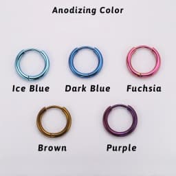 1 Pair Implant Grade F136 Titanium Minimalist Huggie Hoop Earrings Helix Rook Lobe Conch Simple Hoops Ear Piercing 8/10/12mm
