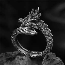 Jisensp Gothic Punk Dragon Ring Men Retro Viking Animal Adjustable Finger Rings for Women Personality Magical Cool Jewelry Gifts