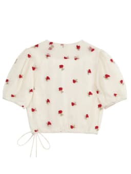 Woman Rose Embroidery Gauze Shirt 2024 Summer Chic Y2k V-neck Short Puff Sleeve Lace Up Tops French Sweet Sexy Slim Blouse Mujer