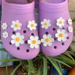 Best Selling Hole Shoes Charms Ready To Put on White Daisy Sunflower Combination Suit Shoe Buckle Girlish Shoes Accessories New