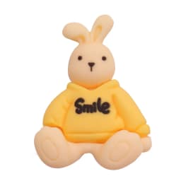 Mix 50pcs Resin Buckle Clog Cartoon Animal Cat Elephant Rabbit Bear Sandals Shoes Decoration Shoe Charms Slipper Accessories