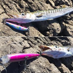 TSURINOYA 120S Sinking Minnow 12cm 40g DW37 Saltwater Hard Boat Fishing Lure Artificial Minnow Bait with Treble Hooks Wobblers