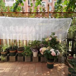 0.33mm Reinforced PE Tarpaulin Cover Rainproof Film for Terrace Balcony Plants Shelter Camp Tent Visible Shade Sails