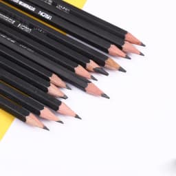 12 PCS/SET 2H-8B Wooden Lead Pencils Set Professional Drawing Journal Writing Pencils for School Smooth Writing