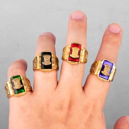 1973 Walton Tiger Stainless Steel Rhinestone Mens Rings Simple Luxury for Male Boyfriend Biker Jewelry Creativity Gift Wholesale