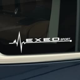 For Seat Leon mk1 Altea Ateca Arona Cordoba Ibiza Toledo Alhambra Tarraco Arosa Exeo Mii Auto Exterior PVC Decorative Stickers