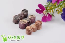 Cute Village House Miniature Garden Mini Craft Figurine Plant Pot Garden Ornament Miniature Fairy Garden Decor DIY Accessories