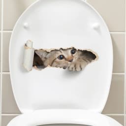 Torn Peeping Kitten Toilet Sticker 3D Effect Bathroom Toilet Seat Waterproof Sticker Self-Adhesive