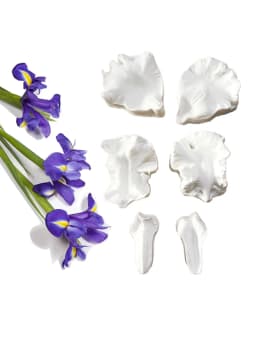 NEW 2PCS Big Bearded Iris Flower Petals Silicone Mold Fondant Cake Decorating Tool Chocolate Gumpaste Sugar Bakeware Mould M2830