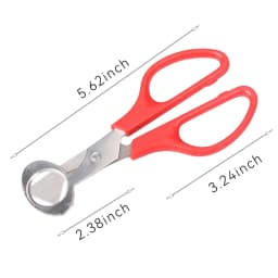 Quail Bird Egg Scissors Stainless Steel Egg Shell Cutters Egg Opener
