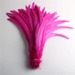50pcs Natural Chick Tail Feathers 25-40cm / 10-16inch Clothing Decoration Stage Performance Rooster Tail Feathers Plume