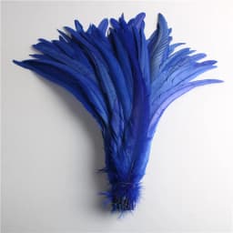 50pcs Natural Chick Tail Feathers 25-40cm / 10-16inch Clothing Decoration Stage Performance Rooster Tail Feathers Plume