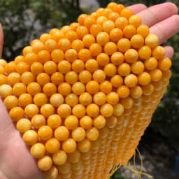 6 8 10 12mm Yellow Beeswax Jades Chalcedony Stone Beads Natural Round Loose Beads For Jewelry Making DIY Bracelet Accessories