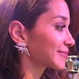 Elegant Leaf Shape Zirconia Wedding Stud Earring For Women Luxury Famous Brand India Earings Fashion Jewelry