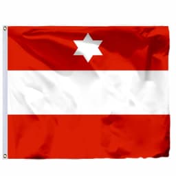 Austria Imperial Standard Flags 21X21CM 2X2FT 4X4FT 120X120CM Imperial Standard Infantry Pattern Mix Early 19th Century Banner