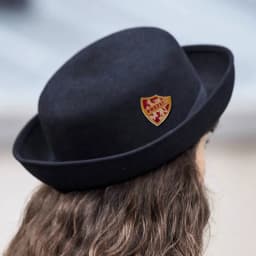 Gryffindors Prefect house Lion Shield Lapel Pin brooch