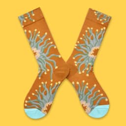 1 Pair Canvas Lattice Plant Art Funny Socks Women Novelty Abstract Cute Socks Women Jacquard Crew Female Calcetines Divertidos