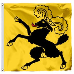 Switzerland Unterwalden Flag Jura and Schaffhausen 21X21CM 4x4FT Sankt Gallen of Schwyz Zürich Banner Thurgau Valais Vaud Nidw