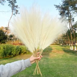 5Pcs Faux Pampas Grass Large 120/100/85cm Flower Bouquet Fake Artificial Pampas Grass Decor Tall Fluffy Stems Living Room Decor