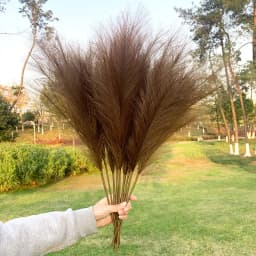 5Pcs Faux Pampas Grass Large 120/100/85cm Flower Bouquet Fake Artificial Pampas Grass Decor Tall Fluffy Stems Living Room Decor