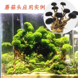 DIY Aquarium Moss Tree Sponge Stainless Steel Net-Attach Mesh Pad Fish Tank Decorations Driftwood Plants Aquarium Accessories