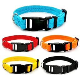 Nylon Webbing Dog Collar Fashion Buckle Pet Collar for Small Medium Dogs Chihuahua Dog Red Black Blue Orange Pet Accessory