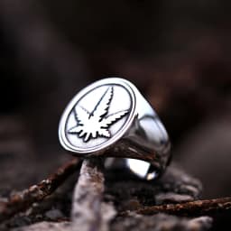 BEIER vintage leaf stainless steel signet maple design ring fashion unique Goros Takahashi Feather Jewelry BR8-379