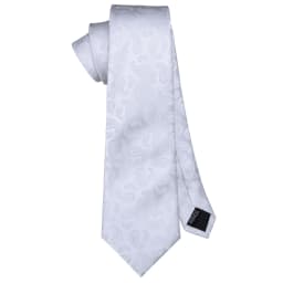 Fashion White Mens Wedding Tie Hanky Set Barry.Wang Designer Paisley Beige Floral Neckties For Male Gift Party Groom silk Office