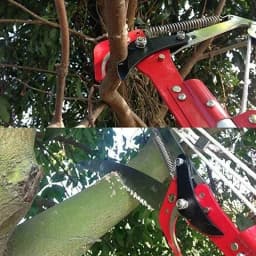 Tree Scissors Pruning Tools High Tree Branch Scissors High Altitude Scissors Picking Orchard Pruner Branch Scissors