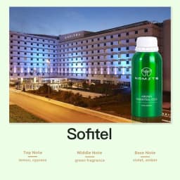 Home Air Freshener Riyadh Warehouse Namste 100/500ML Aromatic Oil Hotels Perfume Aroma Diffuser Ritz Carlton Hilton Shangri La