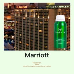 Home Air Freshener Riyadh Warehouse Namste 100/500ML Aromatic Oil Hotels Perfume Aroma Diffuser Ritz Carlton Hilton Shangri La