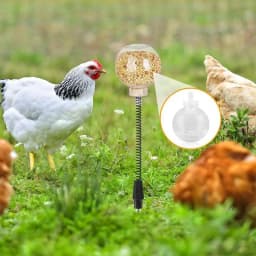 2pcs Chicken Swing Feeder Chicken Coop Pecking Toy Funny Hens Feeding Supplies Poultry Treat Dispenser for Boredom Busting