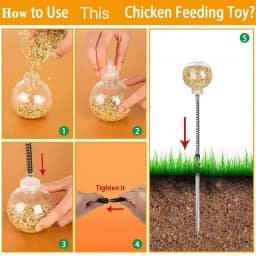 2pcs Chicken Swing Feeder Chicken Coop Pecking Toy Funny Hens Feeding Supplies Poultry Treat Dispenser for Boredom Busting