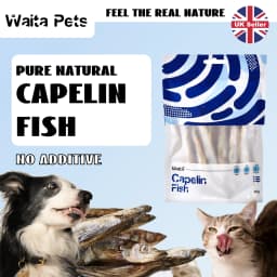 Waita Freeze Dried Capelin 40g Premium Pet Treats Cat Dog High Protein Nutrient Dense Skin Coat Rich Vitamins Minerals