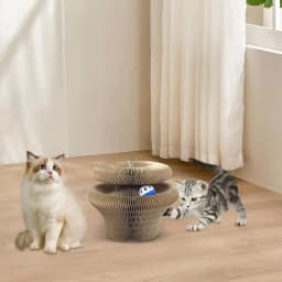 Kitty Curls Cat Toy Unique Active Cat Toys For Indoor Cats Interactive Scratch Pad Cat Toy Recyclable Corrugated Cardboard