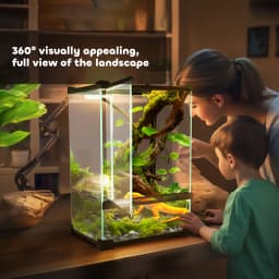 PawHut Glass Reptile Terrarium, 12L Vivarium for Lizards, Frogs, Snakes, Turtles, Tortoises, with Ventilation