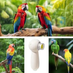 Beak Grinder For Birds Noiseless Electric Beak Grinder Multipurpose Bird Care Supplies Nail Trimming Tool With 6 Grinding Heads