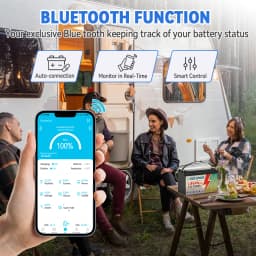LiFePO4 Battery Pack 12V 100Ah BMS Bluetooth For RV Home Energy EV Solar Rechargeable Lithium Iron Phosphate Batteries GB Stock