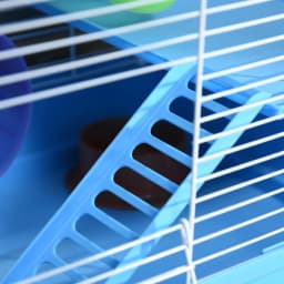 Pawhut 2 Tier Hamster Cage, Gerbil Cage with Exercise Wheels, Tunnel, Tube, Water Bottle, Dishes, Ladder, for Dwarf, Blue