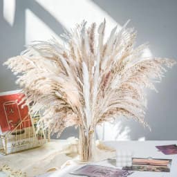 60-100PCS Natural Dried Pampas Grass Bouquet Boho Home Nordic Decor Bouquet Phragmites Dried Flowers Bouquet Wedding Decor