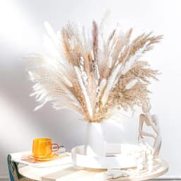 60-100PCS Natural Dried Pampas Grass Bouquet Boho Home Nordic Decor Bouquet Phragmites Dried Flowers Bouquet Wedding Decor