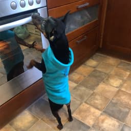 Pet Dog Warm Coat Fleece Jacket Jumper Sweater Winter Clothes Puppy Vest Outfits