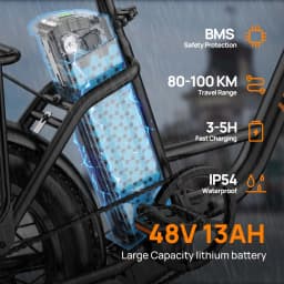 URLIFE E20 Adult Electric Bike 500W Motor 48V13AH Lithium Battery High E-bike Commuting 20*3.0Inch Tire Snow Electric Bicycle