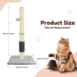 Cat Scratching Post & Activity Centre - 80cmTall Kitty Climbing Tree with Sisal Rope, Hanging Ball & Carpet Covered Heavy Base